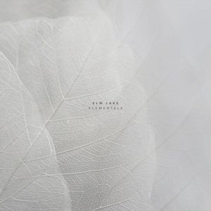 Cover des Tracks „Identified Dancing Object“ von Elm Lake – Soundtrack-Vision von NO TRICKS.